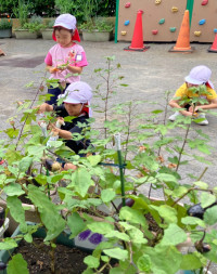 ９月４日③